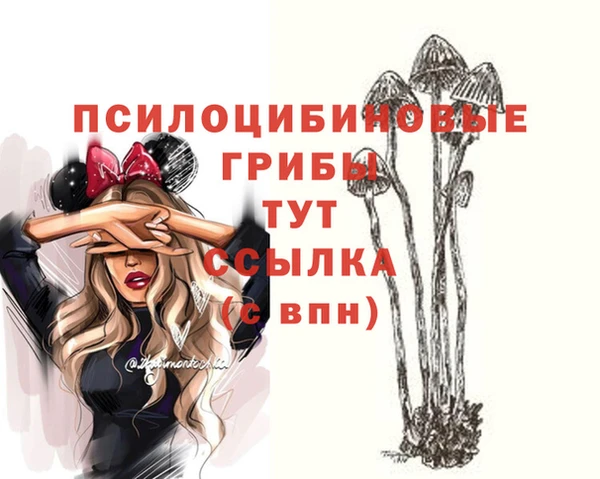 стаф Алексин