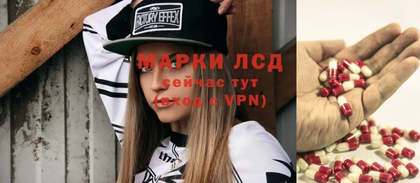 стаф Алексин