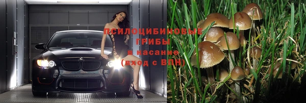 тгк Алексеевка