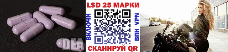 где можно купить Бежецк Лсд 25 экстази ecstasy