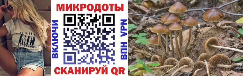 наркошоп  Бежецк  Псилоцибиновые грибы мицелий 